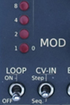 IMG 3